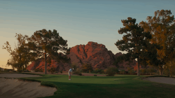 Visit Phoenix Arcadia